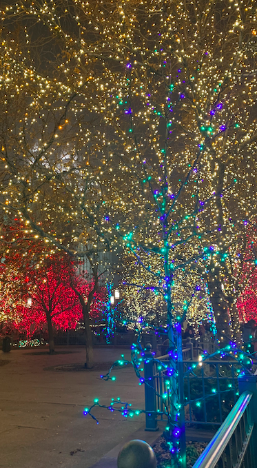 Screen Shot 2019-12-08 at 11.08.47 AM